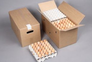 Eggs In Box